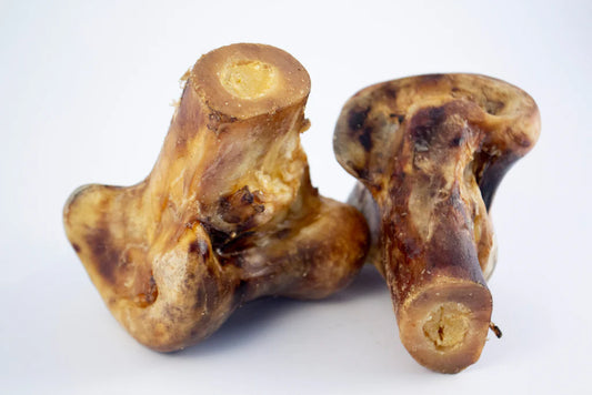 JR Ostrich Knuckle Bone 1pc