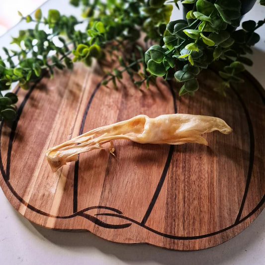 Rabbit Ears no Fur (1pcs)