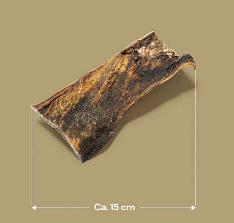 Camel Skin (1pcs)