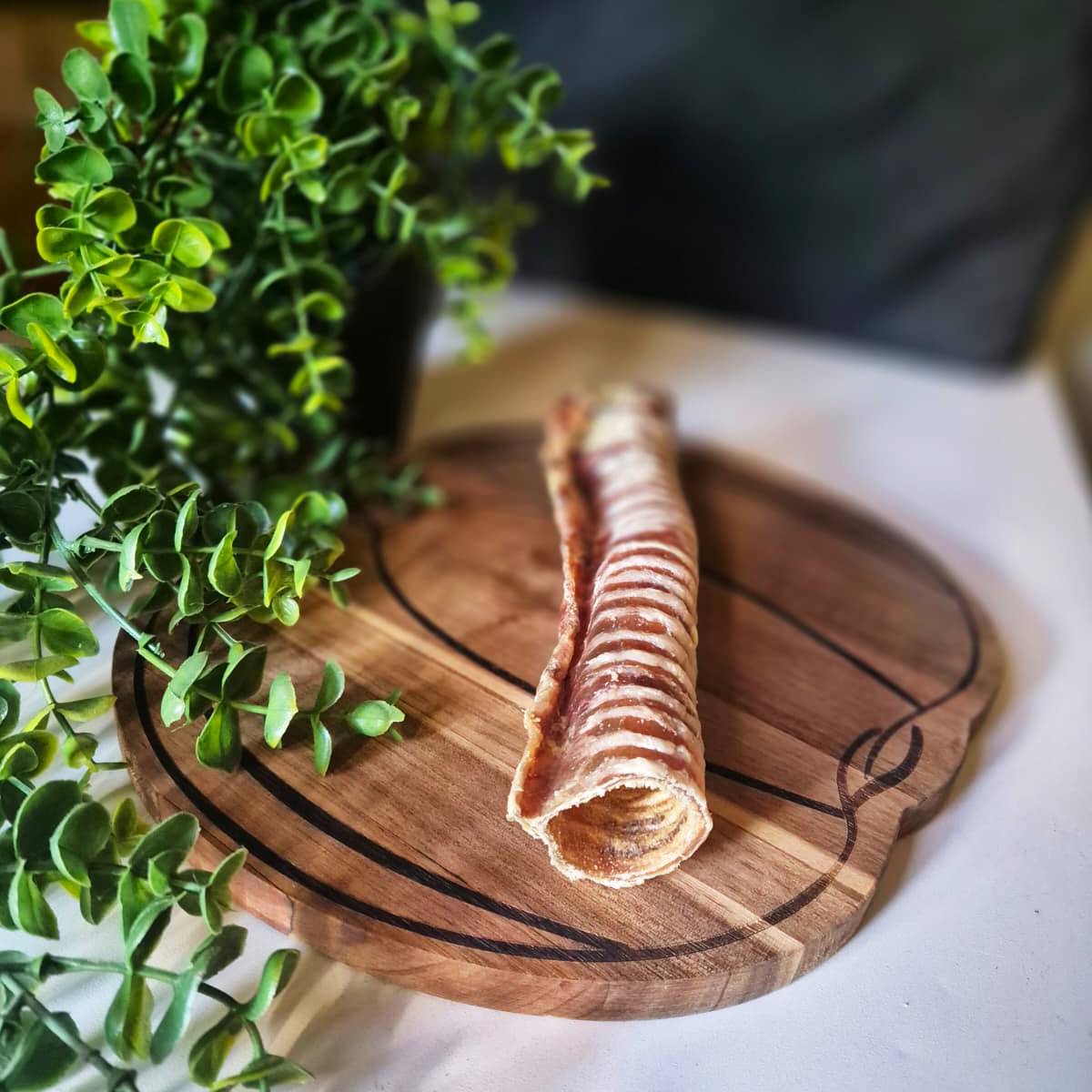 Beef Trachea 24cm (1pcs)