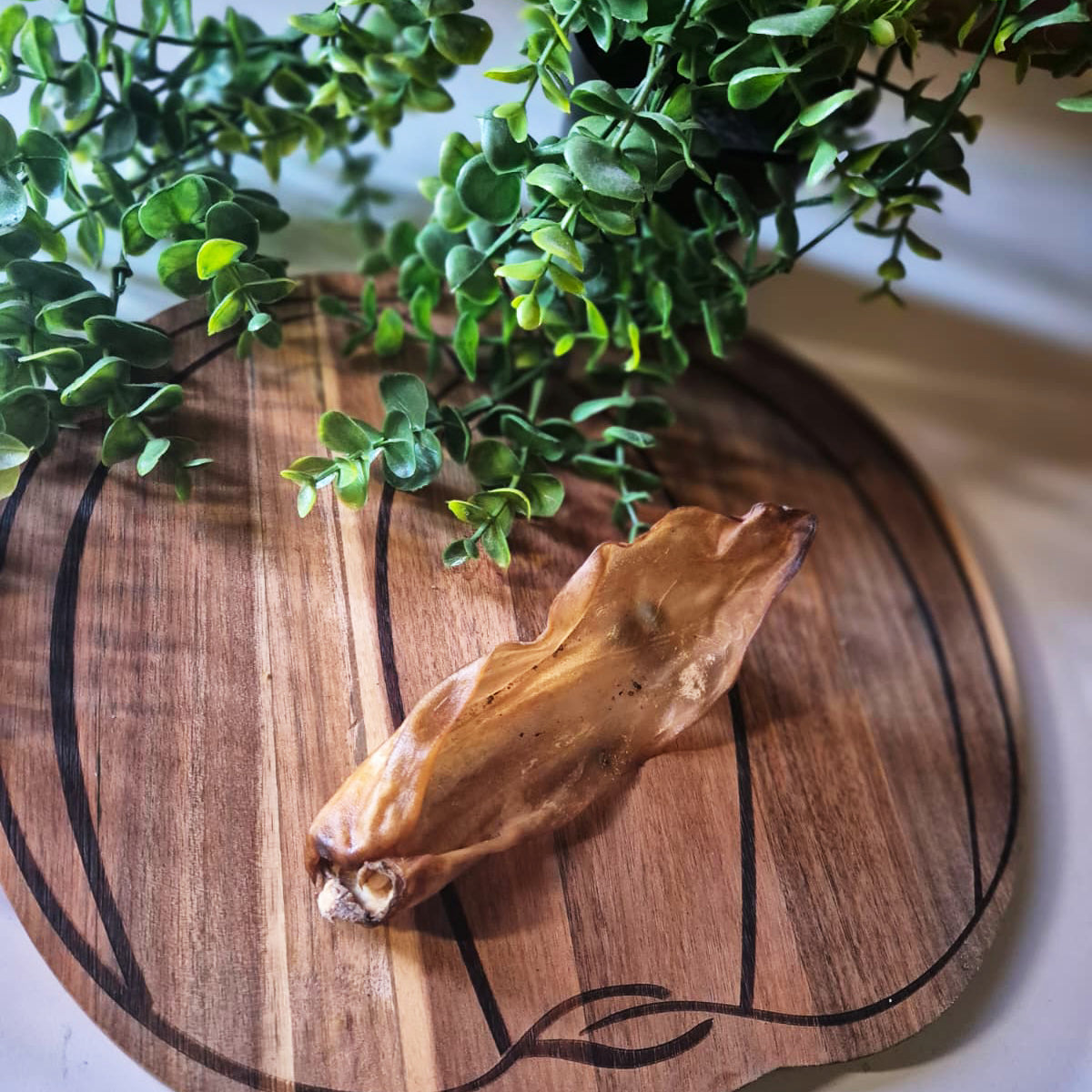 Plain Goat Ears (1pcs)