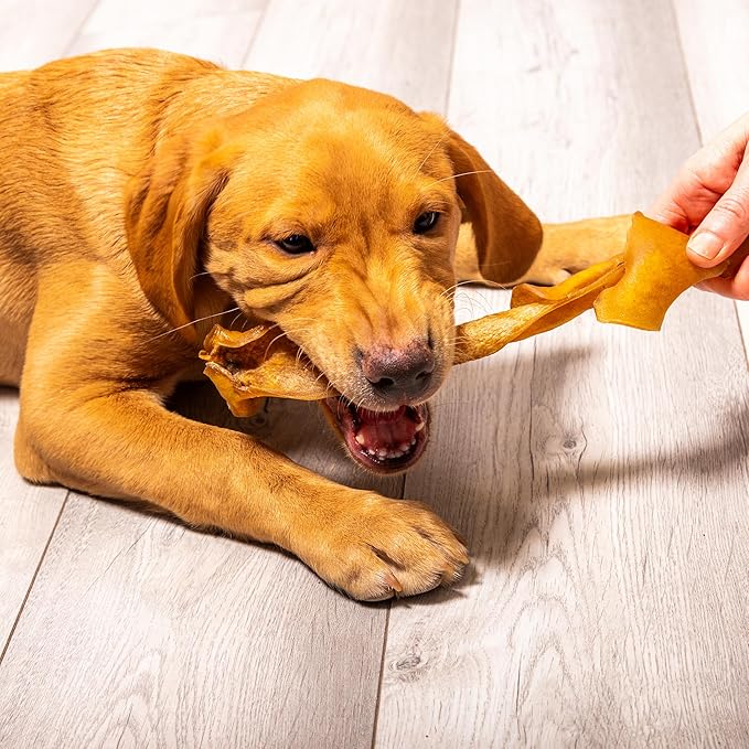 Long Beef Skin Chews (1pcs)