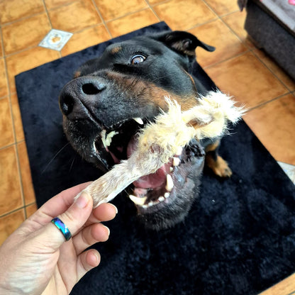 Rabbit Ear with Fur (1pcs)