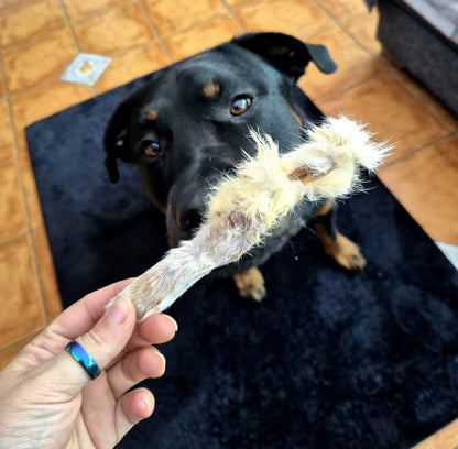 Rabbit Ear with Fur (1pcs)