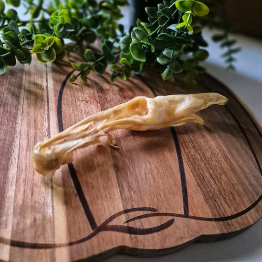 Rabbit Ears no Fur (1pcs)