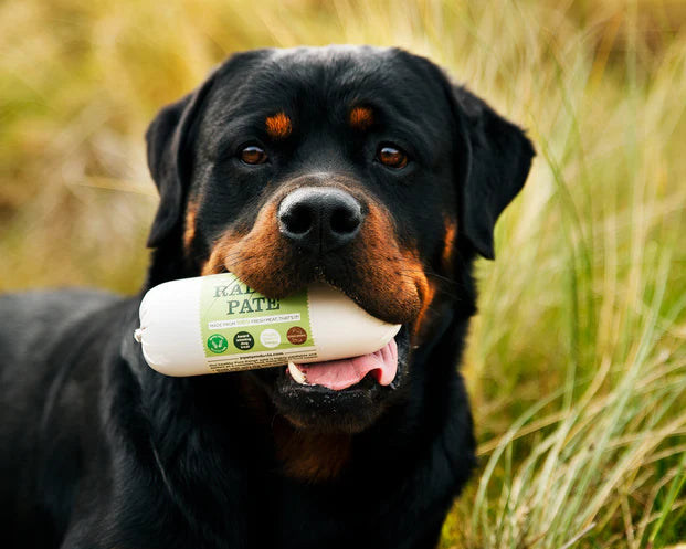 Pure Rabbit Paté 400g