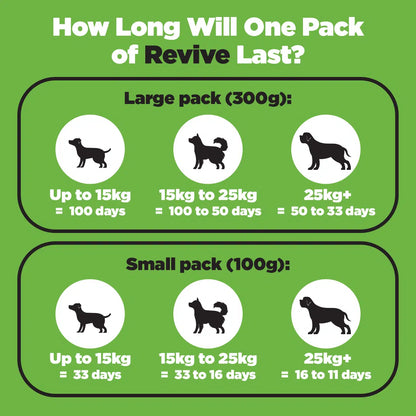 Revive - Energy Supplement