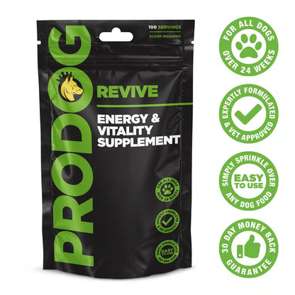 Revive - Energy Supplement