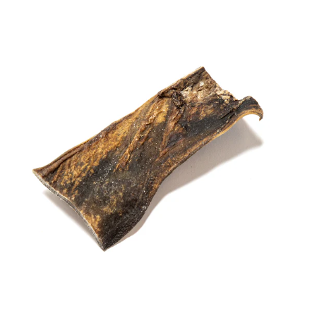 Camel Skin (1pcs)