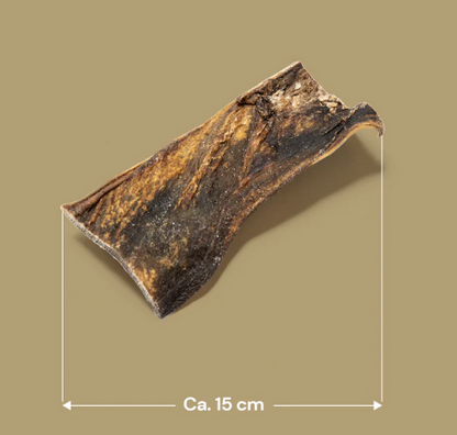 Camel Skin (1pcs)
