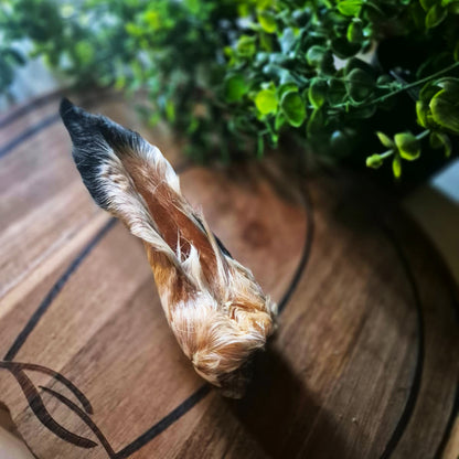 Lamb Ears with Fur (1pcs)