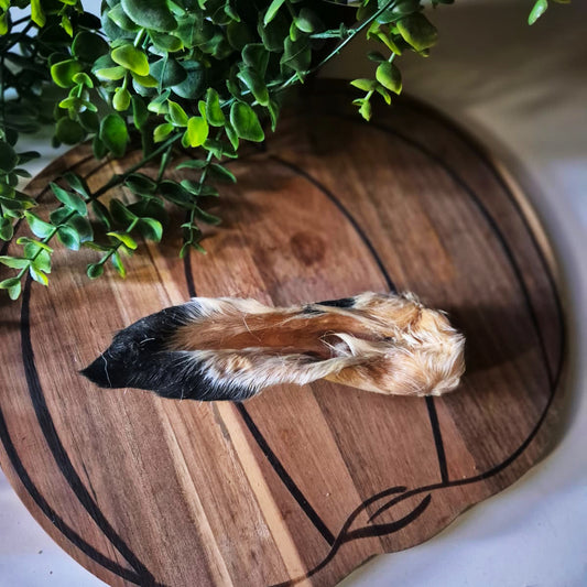 Lamb Ears with Fur (1pcs)