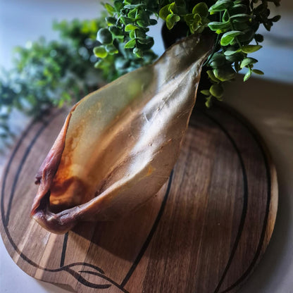 Large Plain Cow Ears (1pcs)