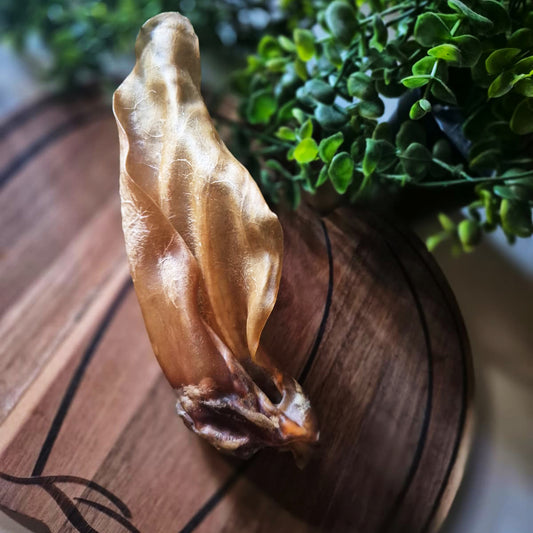 Large Plain Cow Ears (1pcs)