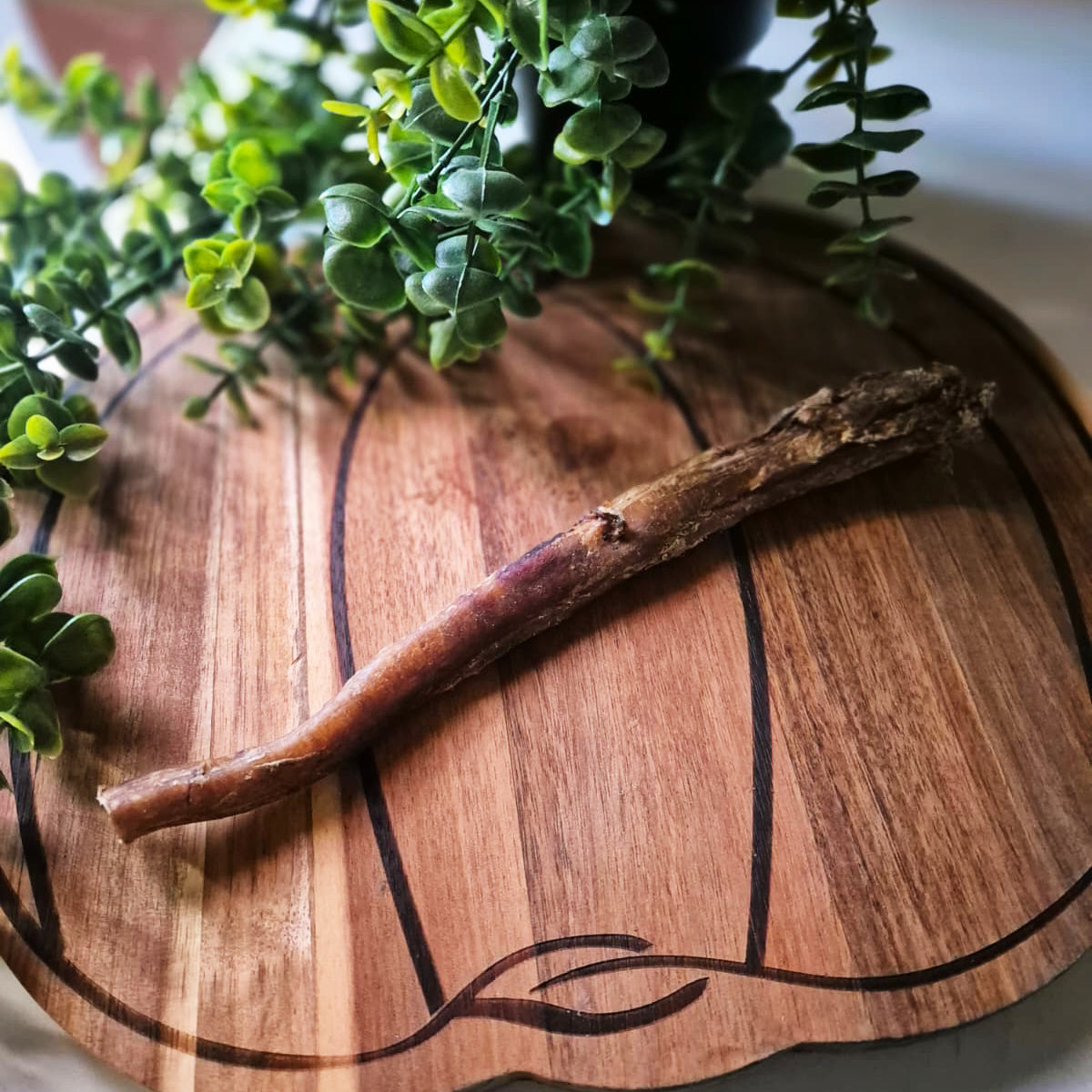 Buffalo Pizzle 24cm (1pcs)