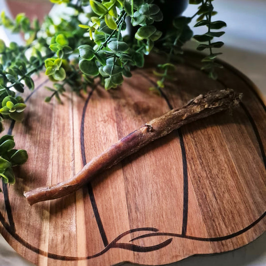 Buffalo Pizzle 24cm (1pcs)