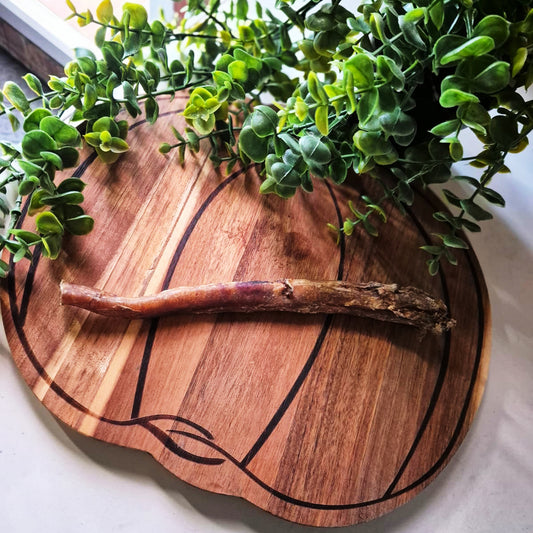 Buffalo Pizzle 24cm (1pcs)