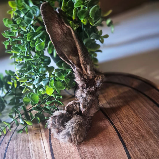 Rabbit Ear with Fur (1pcs)