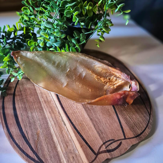 Large Buffalo Ears (1pcs)