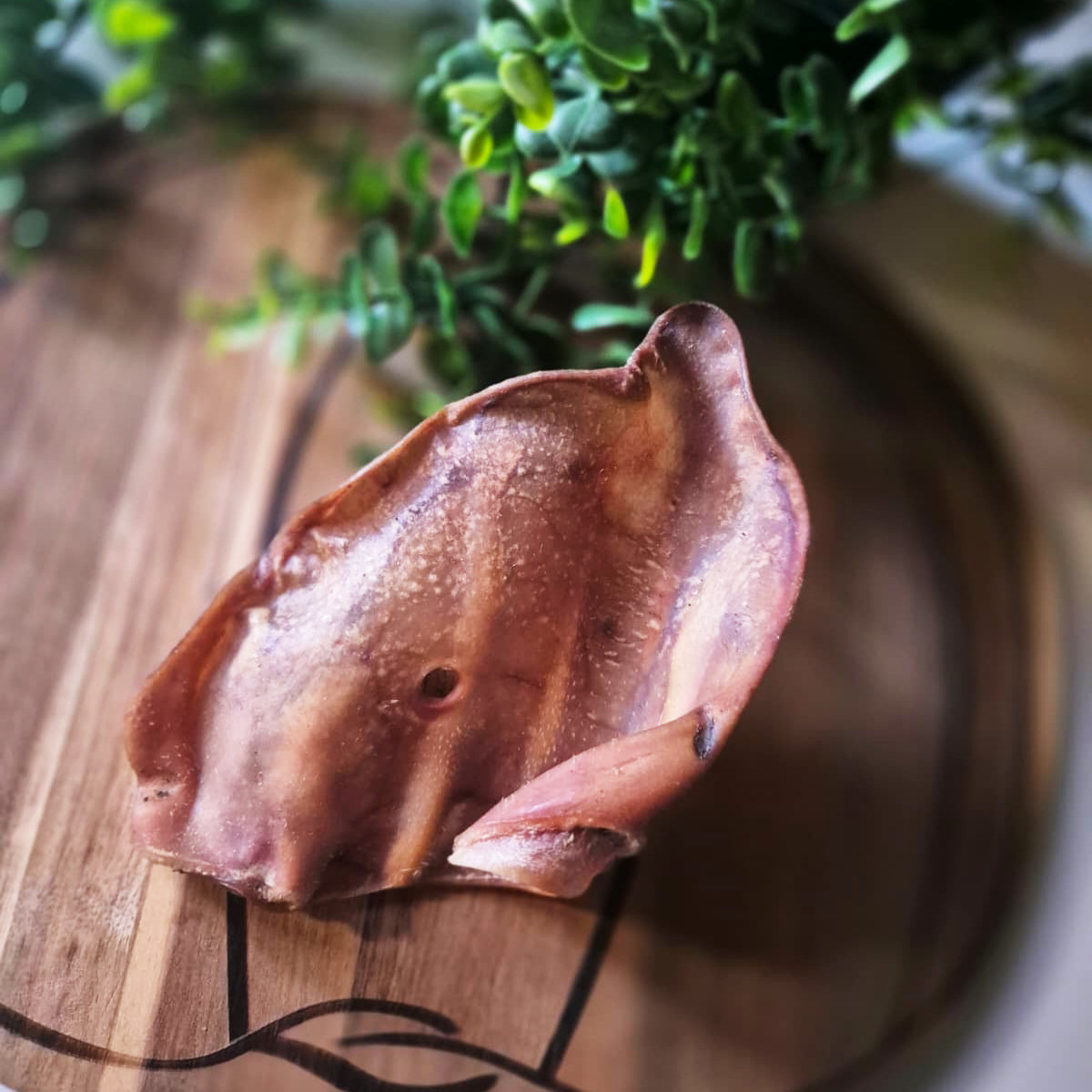 Pig Ears (1pcs)